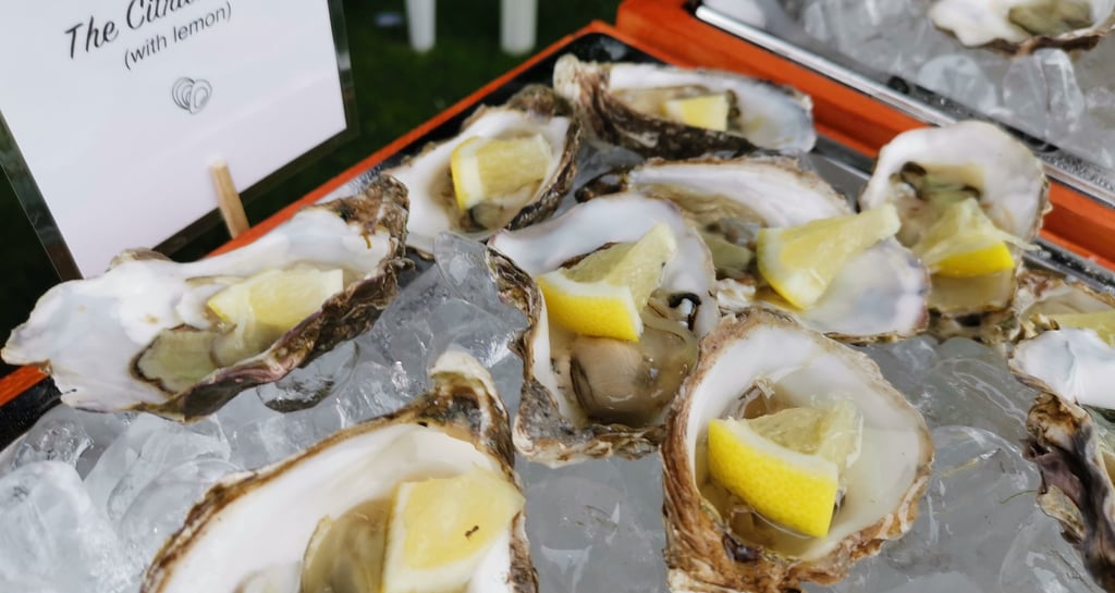 Oysters serevd on ice