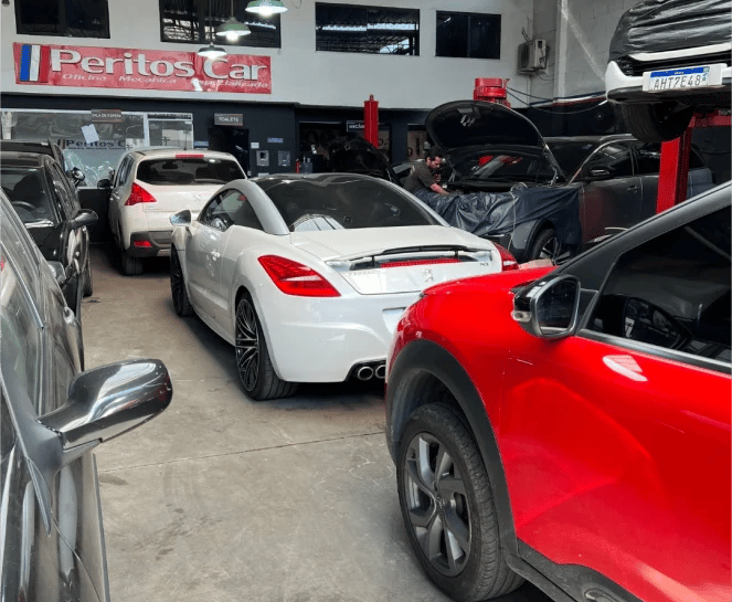 Oficina Especializada Citroën e DS
