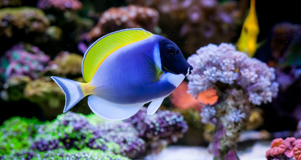Découvrir les excursions à Sharm El Sheikh