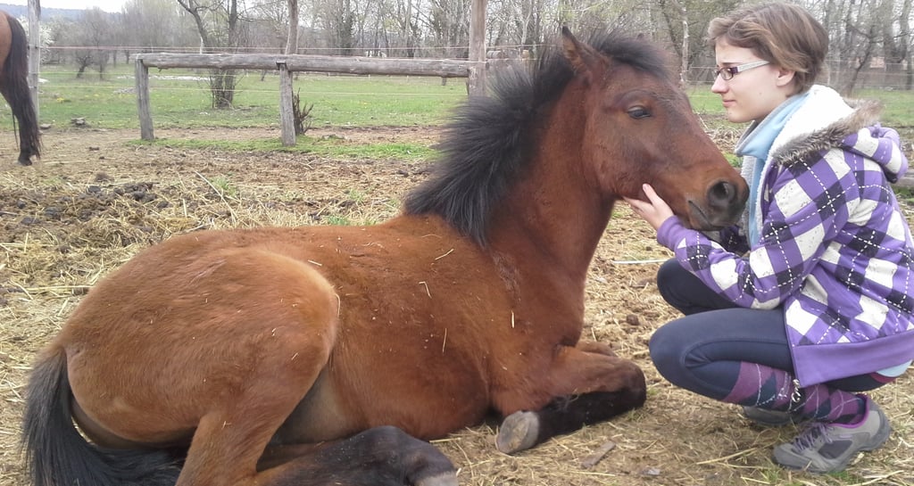 Gyerekek állatszeretete