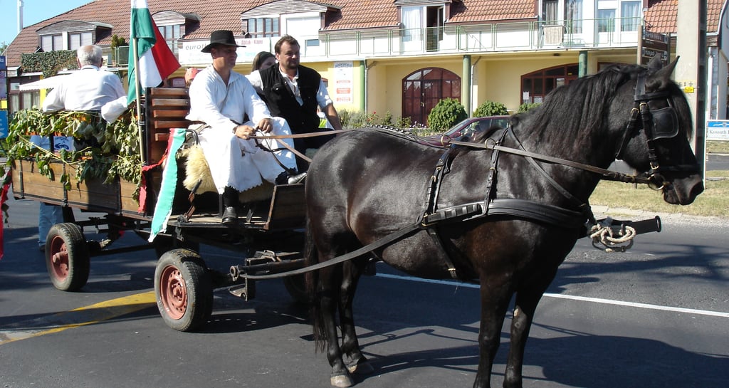 Szüreti felvonulás Gyenesdiás