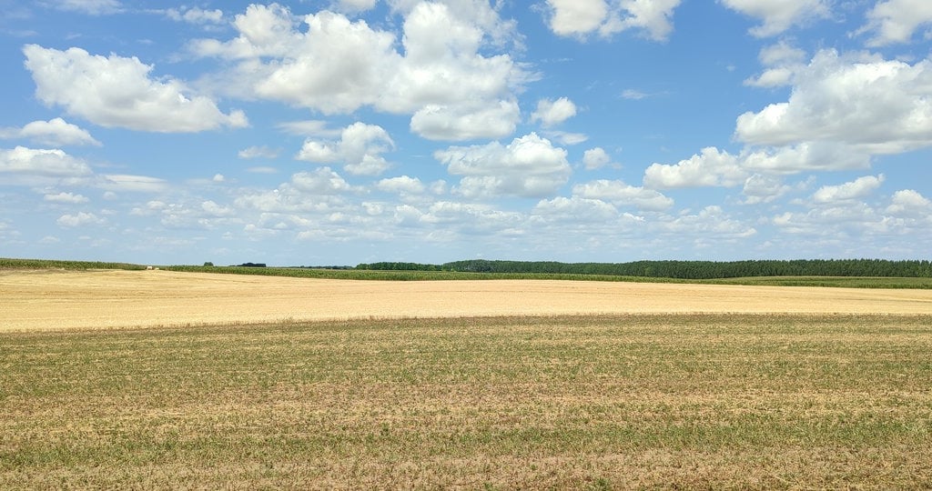 Vojvođanska ravnica