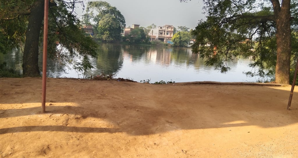pond