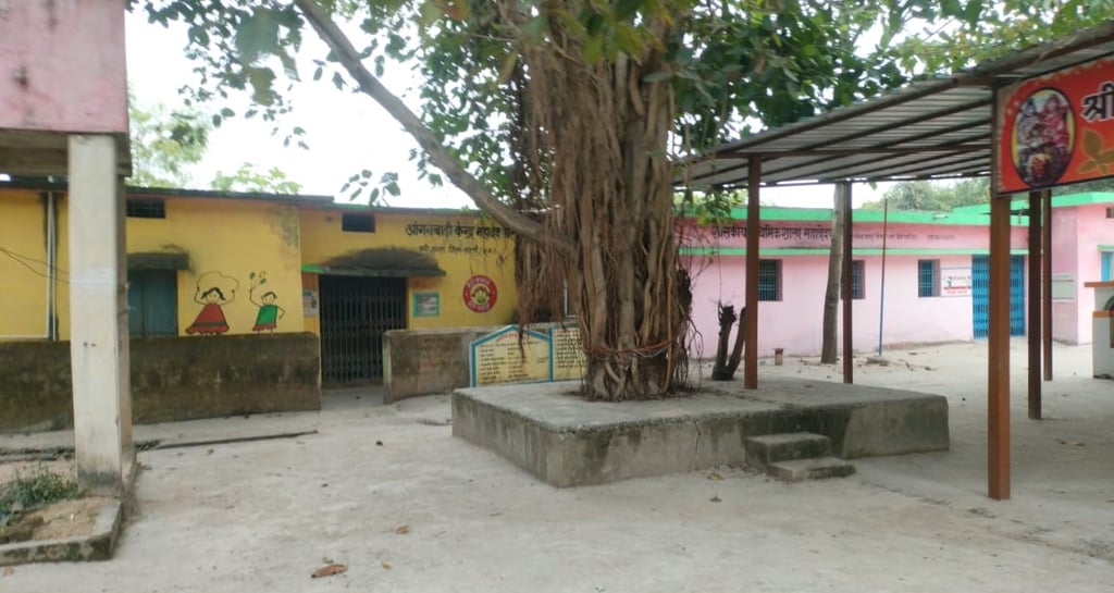 image of tree