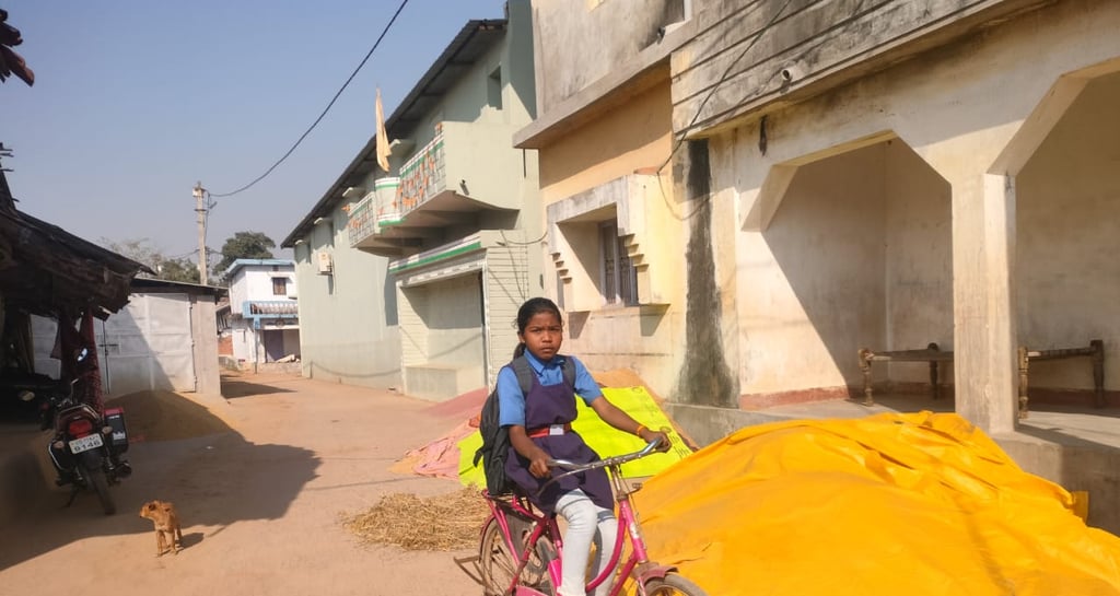 A girl is going to home by her bicycle