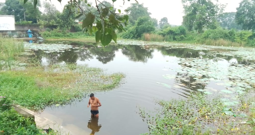 pond
