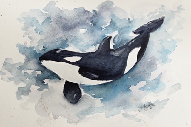 Orque à l’aquarelle