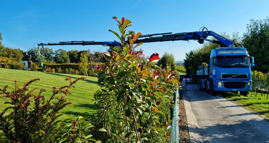 renovation maçonnerie