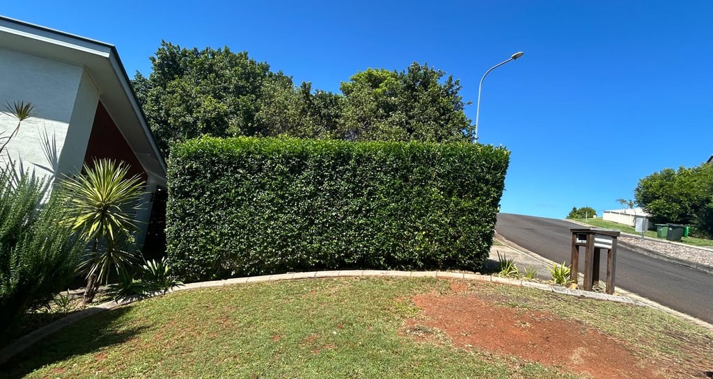 a house with a hedged lawn and a fenced in area