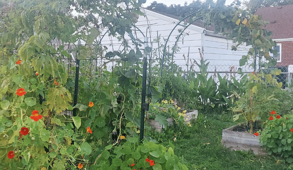 garden inspiration