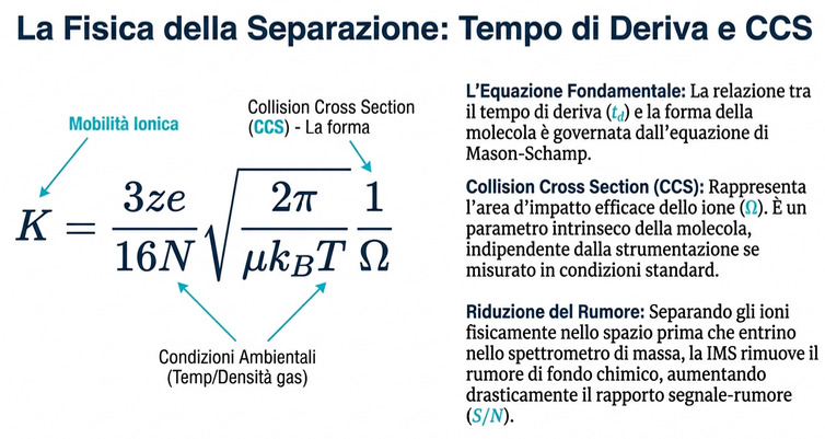 IMS La fisica della separazione 