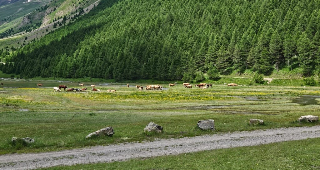 Galerie photo Nunchi Adventure