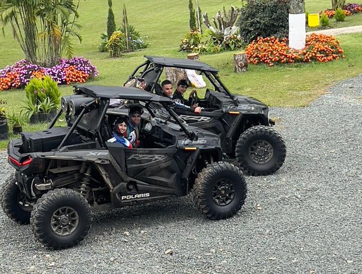 a couple of people in a buggy buggy