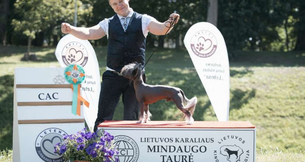 First Open Class Show. CAC.