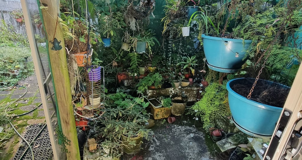 St Ives house rubbish clearing