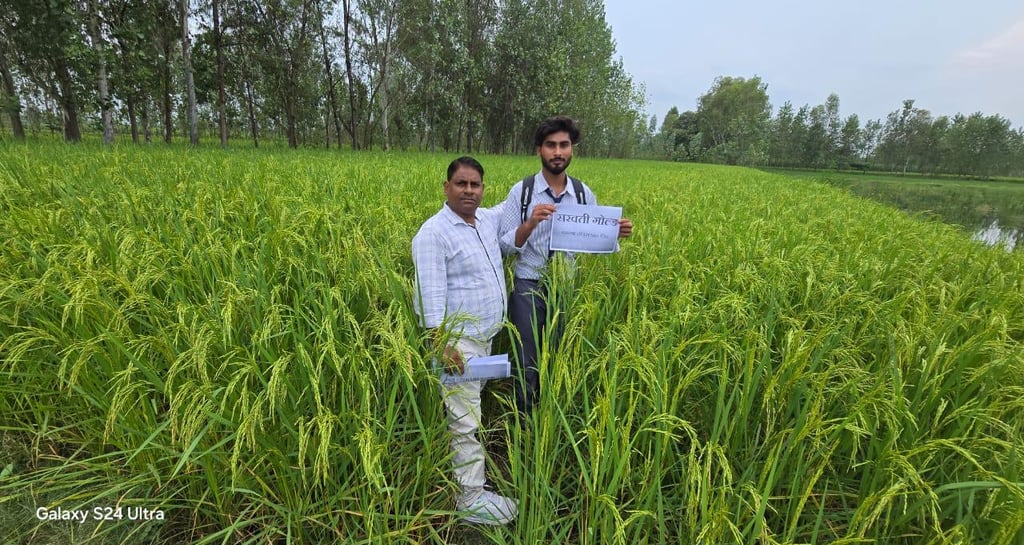Two men standing in a lush green rice paddy field, demonstrating agricultural crop growth and farming.