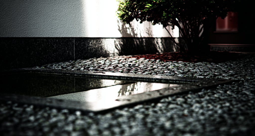 A modern zen garden featuring a small reflection pool, gravel, and a green shrub against a wall.