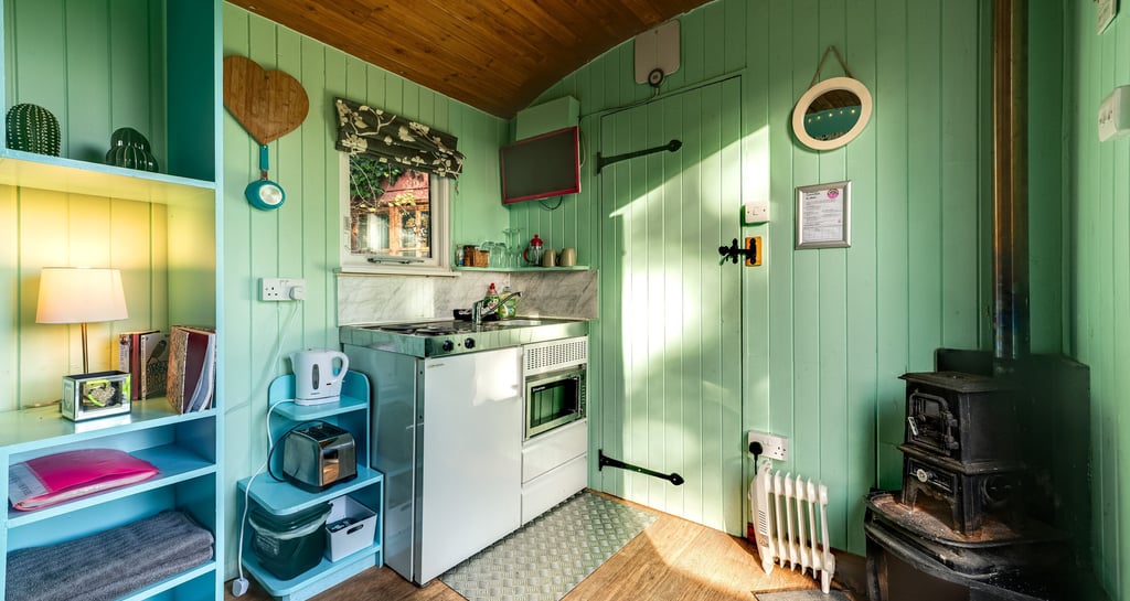 Cozy cabin interior featuring a kitchenette with green paneled walls and a rustic wood burning stove.