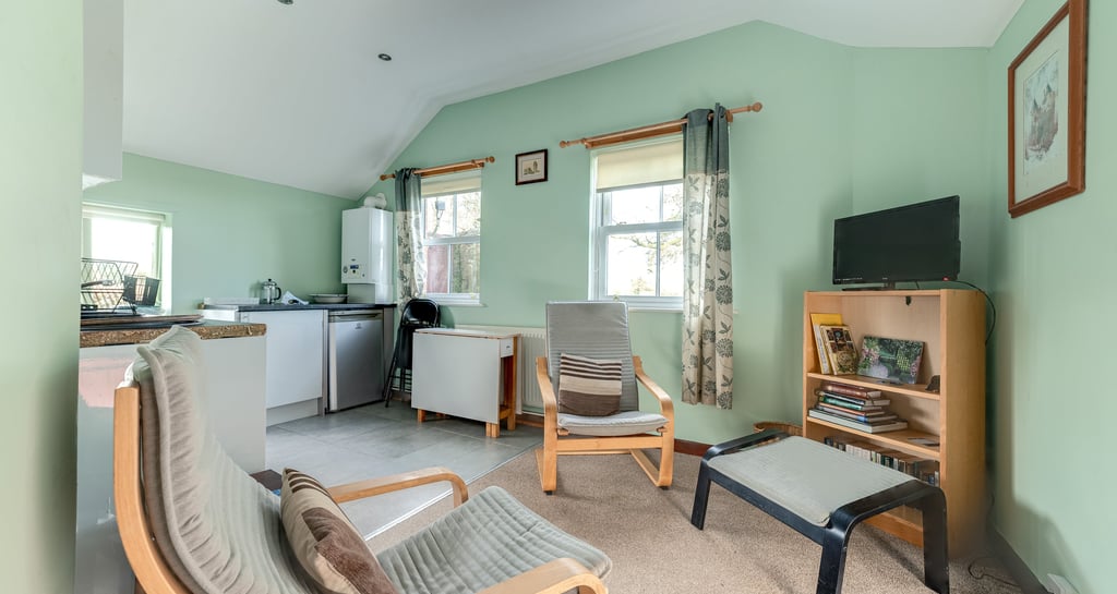 Cozy studio apartment interior with light green walls, wooden armchairs, and a small kitchenette.