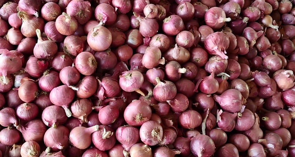 a pile of onions on display in a store (exported to Maldives by swastik team)