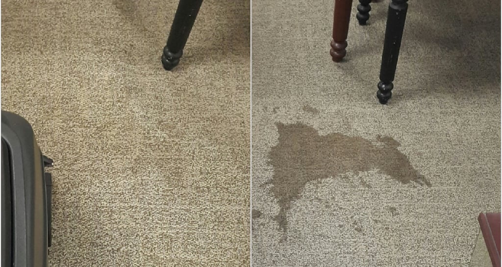 carpet stain before and after