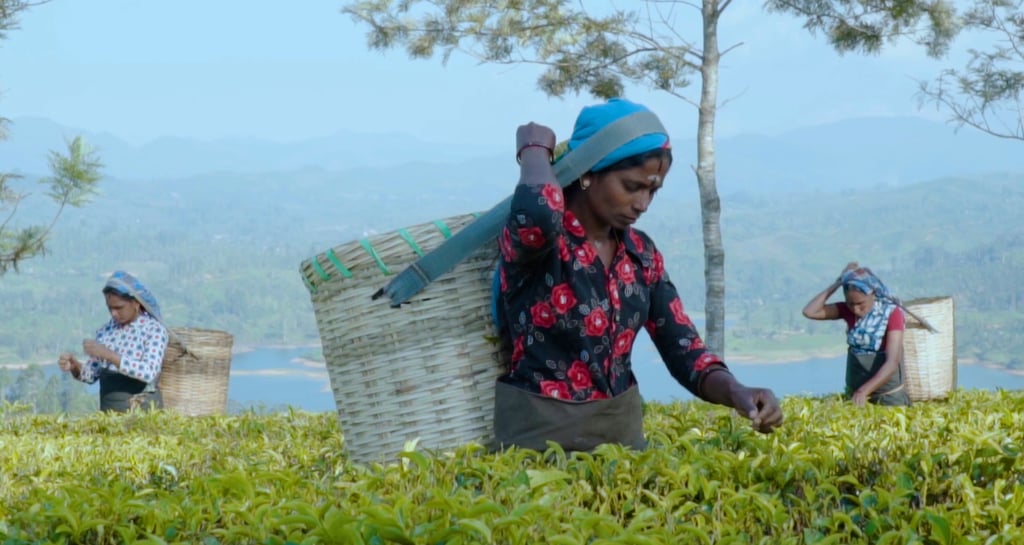 a woman in a hat and a basket basket with a basket on top of it