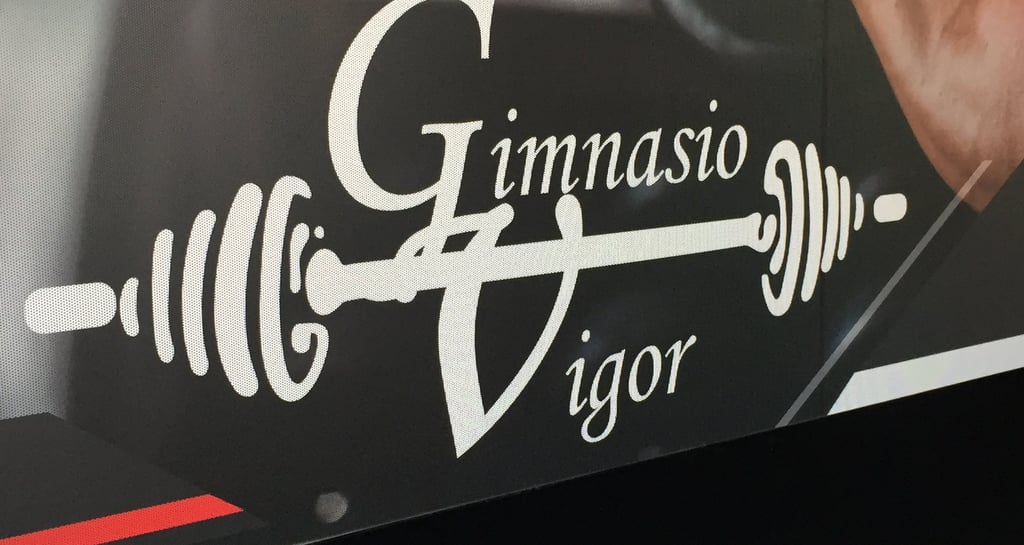Gimnasio Vigor