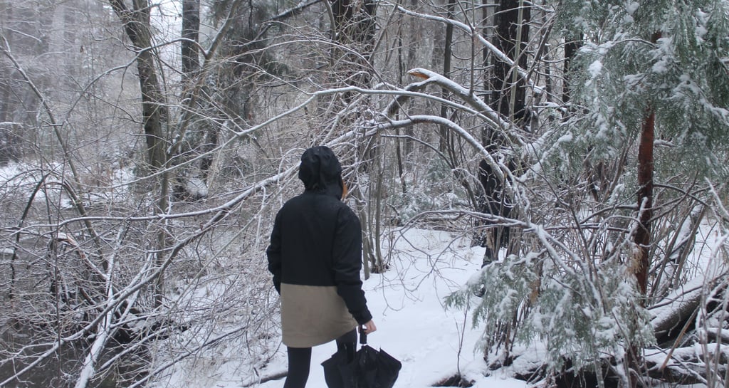 Person in winter jacket walking through a snowy forest trail in California holding an umbrella.