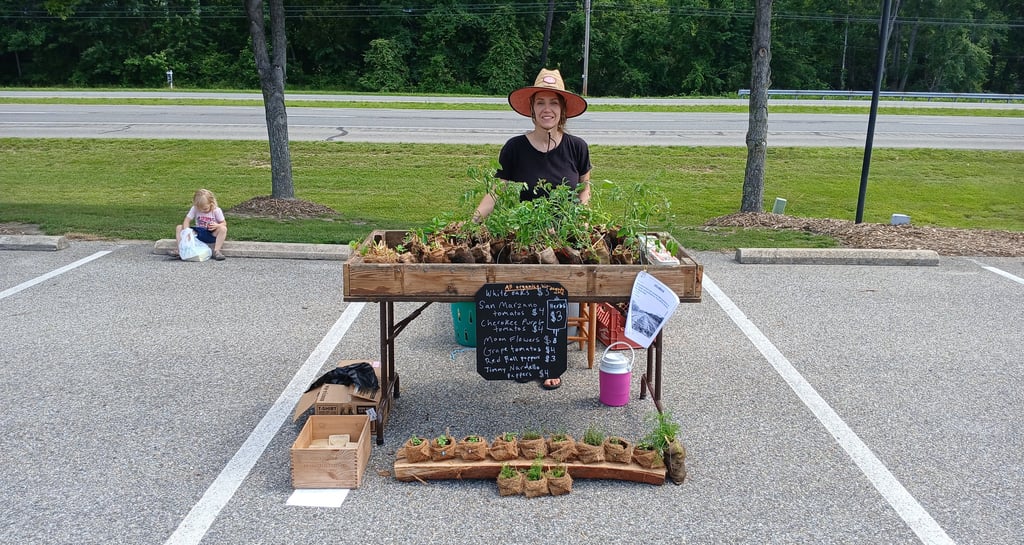 A local farmer selling vegetable garden starts at an outdoor farmers market stand.