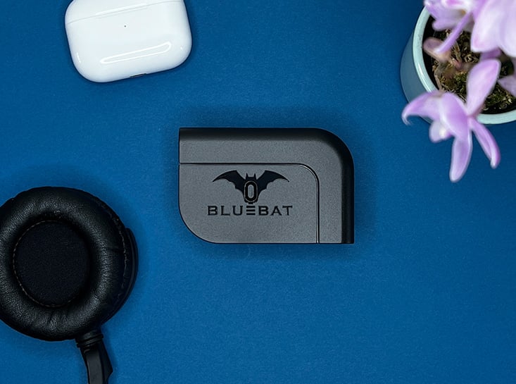 Charging Device | Bluebat BB101 for optimum charging. Timed and delayed charge with heat sensor
