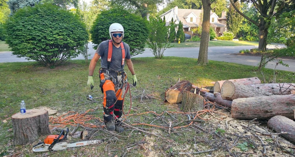 Professional arborist in safety gear standing near cut logs and a Stihl chainsaw after tree removal.