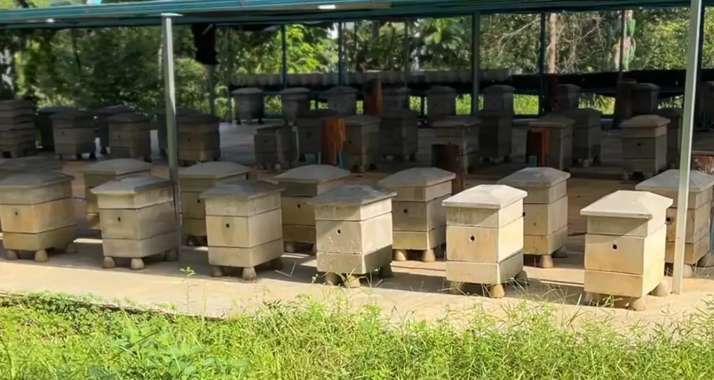 stingless bee hives Malaysia