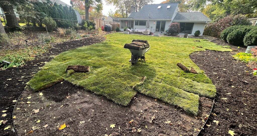 Fresh green sod installation in a residential backyard with a wheelbarrow and new landscaping edging.