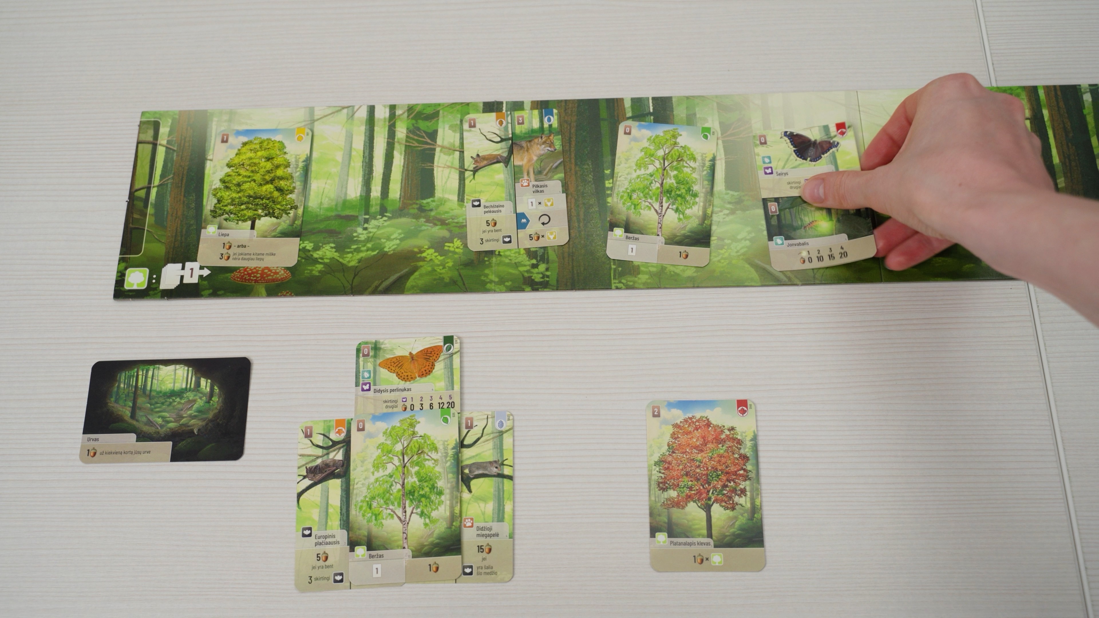 Ranka deda kortą ant žaidimo lentos