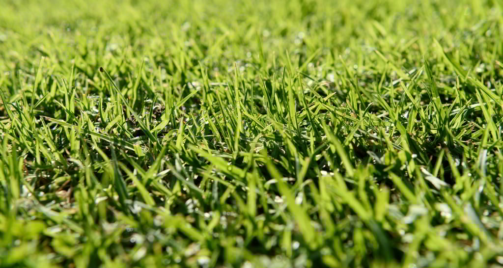 close up of realistic artificial turf