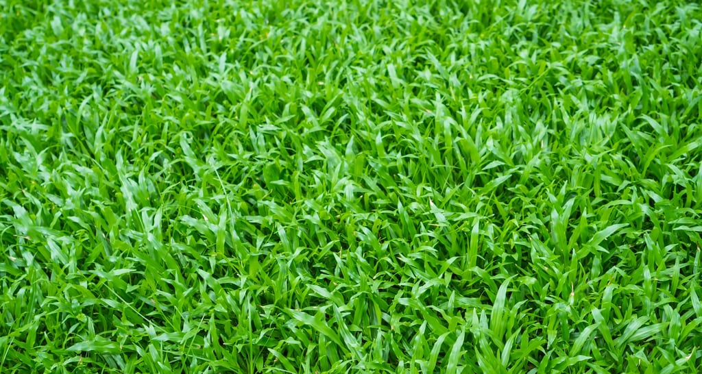 synthetic turf installation in santa rosa beach