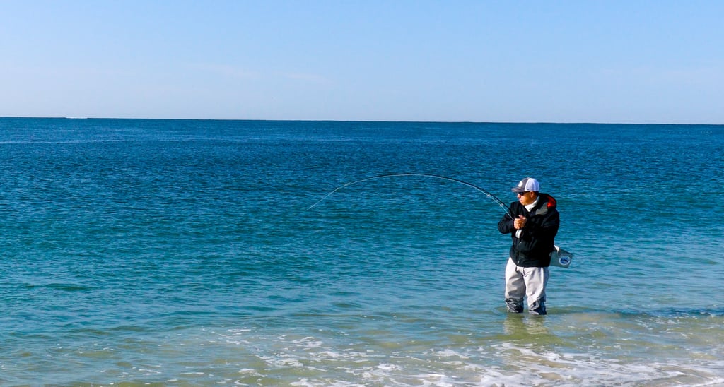 Fly fishing the surf