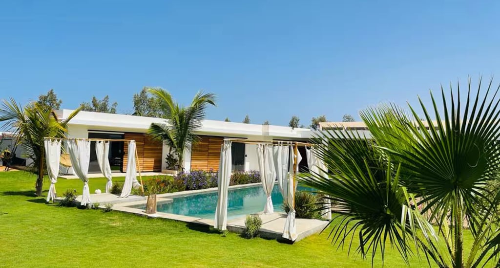 a house with a pool and a palm tree