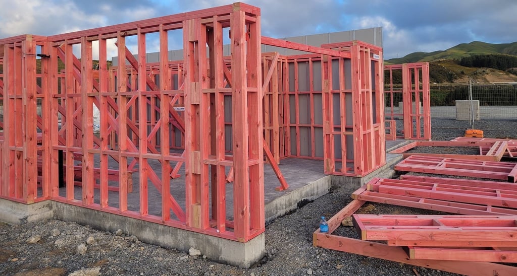 Peaky Builders New Build Wellington
