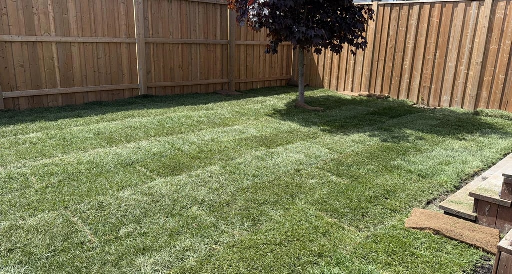 Fence Installation by TN Profesiional Services