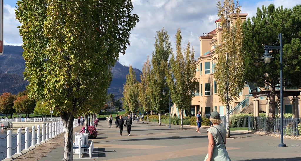 Ditch the car and walk everywhere