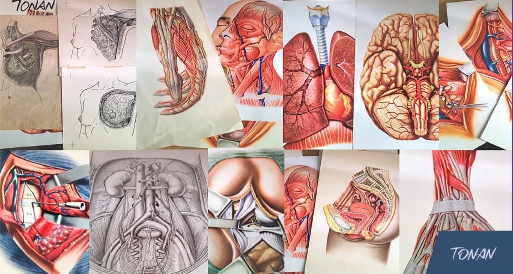 ilustracao medica