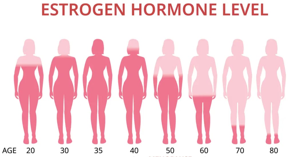 Image showing Estrogen Dominance: Signs, Symptoms, and How to Reverse It concept