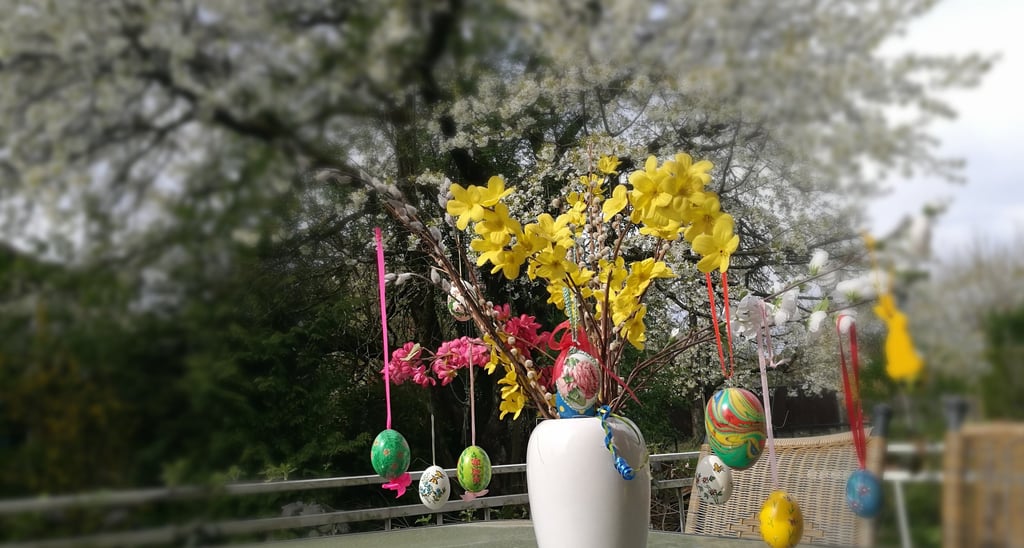 Terrasse mit Blick in den Garten