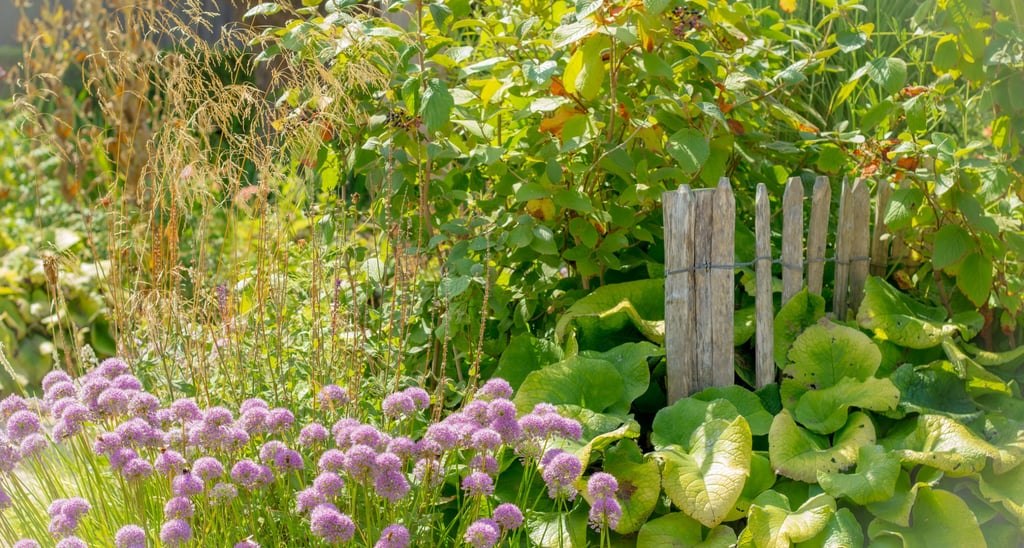 Natuurlijke tuin met losse beplanting