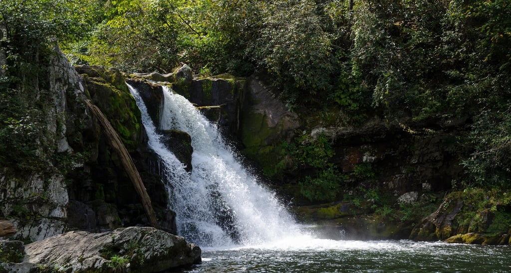 Beautiful waterfalls cascading over moss covered medium sized boulders