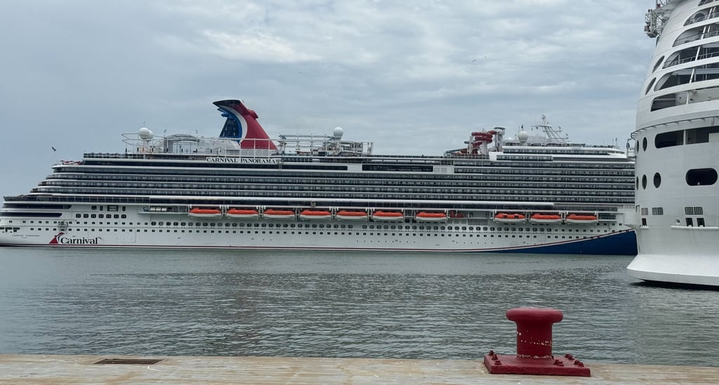 Carnival cruise ship docked at port