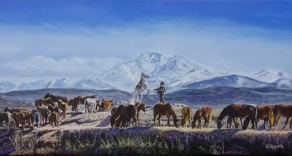 Man working with wild horses