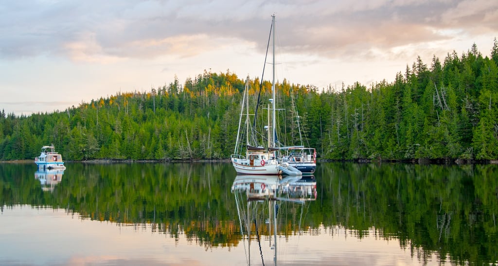 White sailboats anchored in a calm bay reflecting a lush pine forest at sunset.