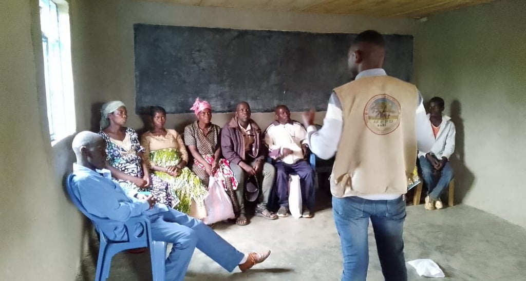 La sensibilisation par AFEPD